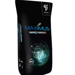 Maximus Aminoperfect