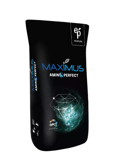 Maximus Aminoperfect